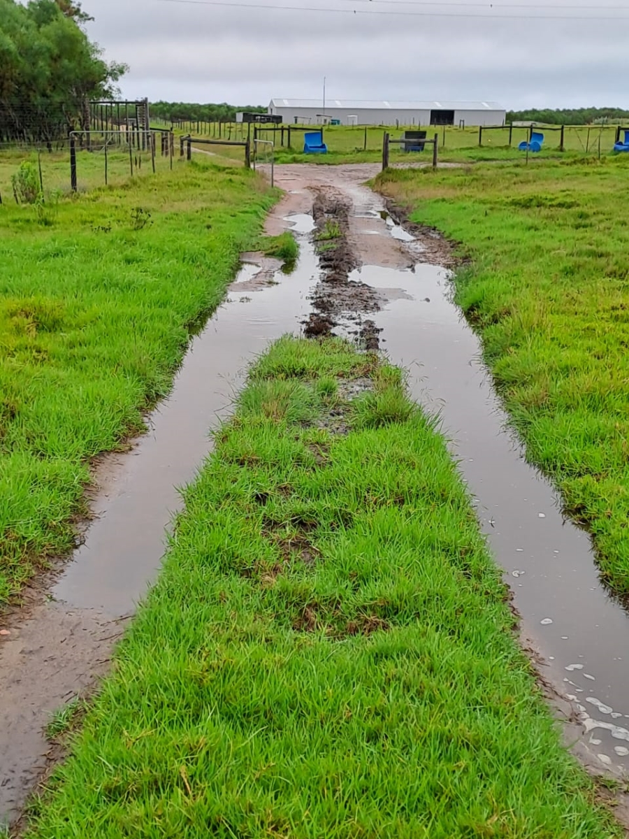 Commercial Property for Sale in St Francis Bay Rural Eastern Cape